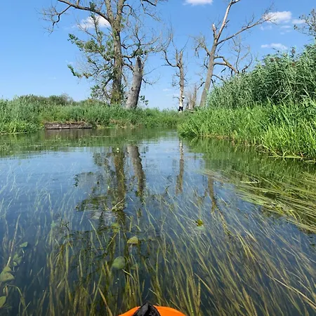 Stilvolle In Historischer Stadtvilla Lejlighed Neubrandenburg